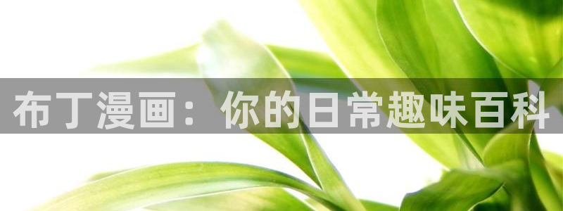91漫画成人漫