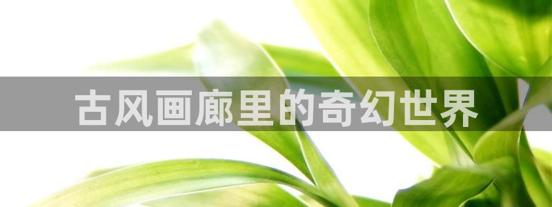 91漫画网站免费阅读漫画