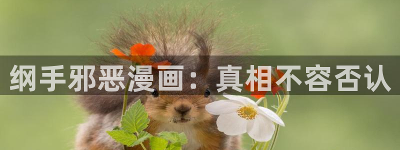91漫画免费在线看